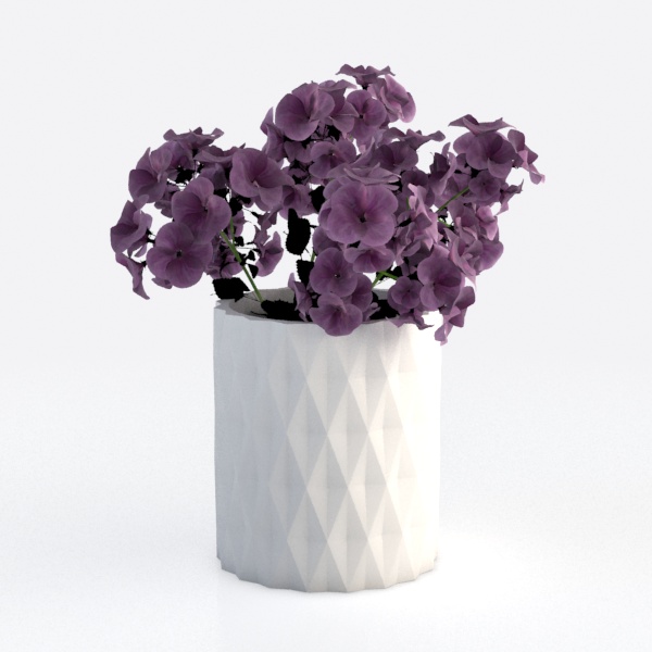 plant-Purple